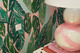 adorne One-Gang Screwless Wall Plate Trim (AWM1G2M4)
