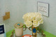 adorne Two-Gang Screwless Wall Plate Trim (AWM2GM4)