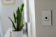 adorne Three-Gang Screwless Wall Plate (AWM3GMWW4)