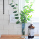 adorne Four-Gang Screwless Wall Plate (AWM4GMW4)