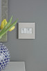 adorne One-Gang-Plus Screwless Wall Plate (AWP1G3GG4)