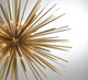 Trapani Seven Light Chandelier (10128-05) Trapani Seven Light Chandelier (10128-05)