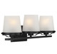 Klein Three Light Bathroom Vanity (V6-L8-5250-3-BK)