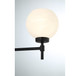 Hannah Three Light Bathroom Vanity (V6-L8-9621-3-BK)