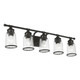 Lawrenceville Five Light Vanity Sconce (10515-04)