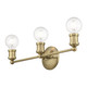 Lansdale Three Light Vanity Sconce (14423-01)
