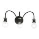 Lansdale Three Light Vanity Sconce (16573-04)