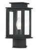 Livex Lighting - 20201-07 - One Light Outdoor Post-Top Lanterm - Princeton - Bronze w/ Polished Chrome Stainless Steel