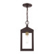 Nyack One Light Outdoor Pendant (20591-07)