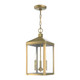 Nyack Three Light Outdoor Pendant (20593-01)