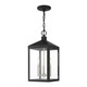Livex Lighting - 20593-04 - Three Light Outdoor Pendant - Nyack - Black w/ Brushed Nickel Cluster