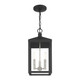Nyack Three Light Outdoor Pendant (20593-04)