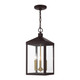Livex Lighting - 20593-07 - Three Light Outdoor Pendant - Nyack - Bronze w/ Antique Brass Cluster