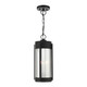Livex Lighting - 22385-04 - Two Light Outdoor Pendant - Sheridan - Black w/ Brushed Nickels