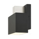Lynx One Light Outdoor Wall Sconce (22422-04)