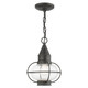 Livex Lighting - 26910-61 - One Light Outdoor Pendant - Newburyport - Charcoal