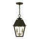 Wentworth Two Light Outdoor Pendant (27217-07)
