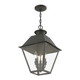 Wentworth Three Light Outdoor Pendant (27220-61)