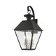 Livex Lighting - 27222-04 - Four Light Outdoor Wall Lantern - Wentworth - Black w/ Brushed Nickel Cluster
