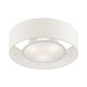 Ellsworth Three Light Semi-Flush Mount (40143-92)