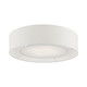 Ellsworth Four Light Semi-Flush Mount (40144-91)