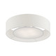 Ellsworth Four Light Semi-Flush Mount (40144-91)
