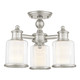Middlebush Three Light Mini Chandelier/Ceiling Mount (40203-91)