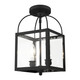 Milford Two Light Mini Pendant/Ceiling Mount (4041-04)
