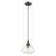 Hand Blown Art Glass Mini Pendants One Light Mini Pendant (40610-92)