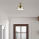 Amador One Light Semi-Flush Mount (40980-01)