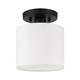Meridian One Light Semi Flush Mount (41094-04)