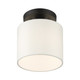 Meridian One Light Semi Flush Mount (41094-04)