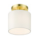 Meridian One Light Semi Flush Mount (41094-12)