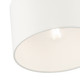 Meridian One Light Semi Flush Mount (41095-04)