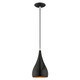 Livex Lighting - 41171-68 - One Light Mini Pendant - Amador - Shiny Black w/ Polished Chromes
