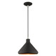 Livex Lighting - 41178-04 - One Light Mini Pendant - Geneva - Black w/ Brushed Nickels