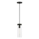 Devoe One Light Mini Pendant (41236-04)
