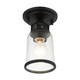 Lawrenceville One Light Flush Mount (45501-04)
