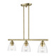 Montgomery Three Light Linear Chandelier (46337-01)