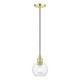 Livex Lighting - 48971-12 - One Light Mini Pendant - Downtown - Satin Brass