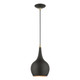 Livex Lighting - 49016-04 - One Light Mini Pendant - Andes - Black w/Antique Brass