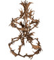 Antlers 12 Light Chandelier (212274)