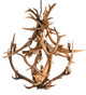 Meyda Tiffany - 212275 - Ten Light Chandelier - Antlers - Mahogany Bronze