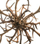 Antlers 20 Light Chandelier (212277)