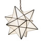 Moravian Star One Light Pendant (21842)
