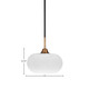 Paramount One Light Mini Pendant (3401-MBBR-214)