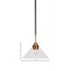Paramount One Light Mini Pendant (3401-MBBR-304)