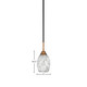 Paramount One Light Mini Pendant (3401-MBBR-4165)