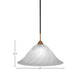 Paramount One Light Pendant (3401-MBBR-5781)