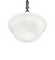 Revival One Light Pendant (244424)